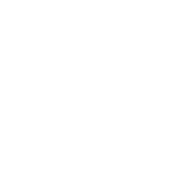 TOYZ